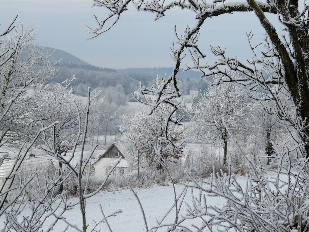 Apartment Haus Mit Aussicht Horn-Bad Meinberg